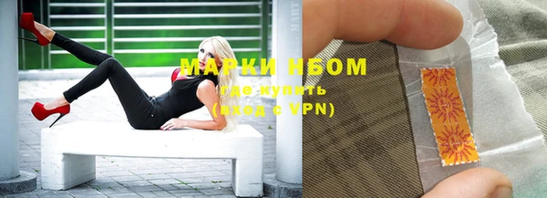 индика Ладушкин