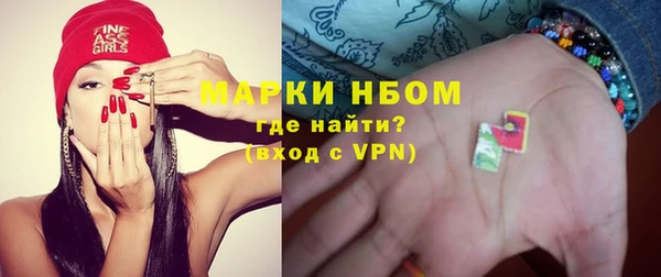 индика Ладушкин