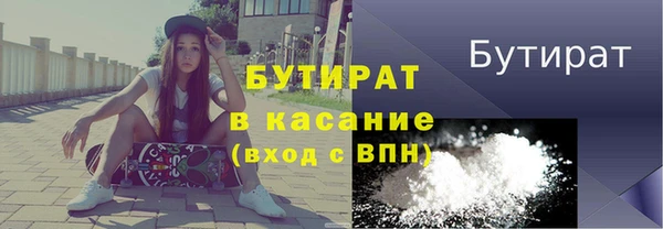 индика Ладушкин