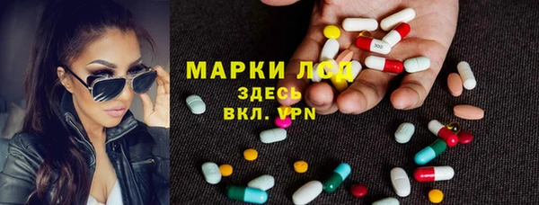индика Ладушкин