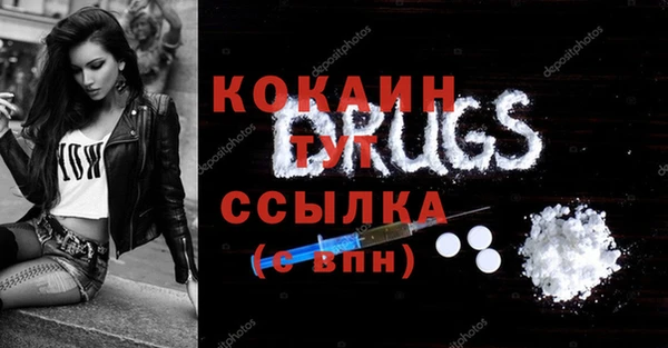 индика Ладушкин