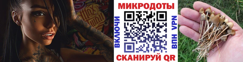 Галлюциногенные грибы мухоморы  продажа наркотиков  Ахтырский 